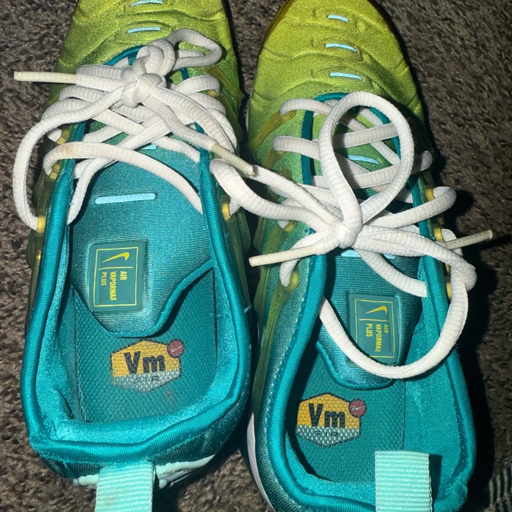 Gradient Green and Blue Sneaker (Nike VaporMax Plus)